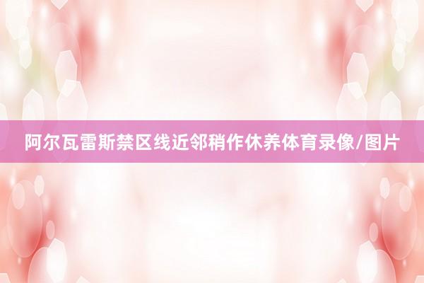阿尔瓦雷斯禁区线近邻稍作休养体育录像/图片
