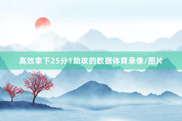 高效拿下25分1助攻的数据体育录像/图片