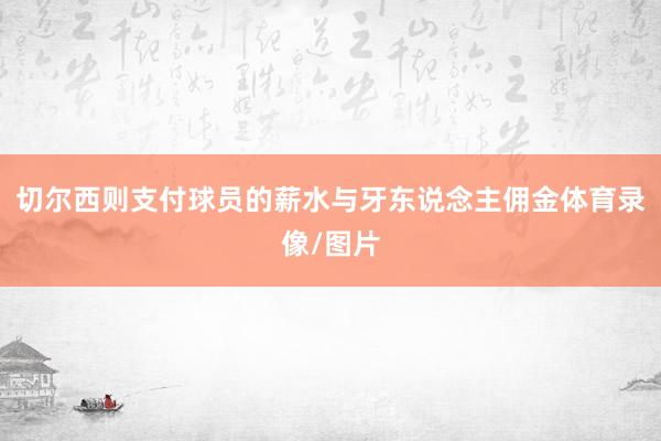 切尔西则支付球员的薪水与牙东说念主佣金体育录像/图片