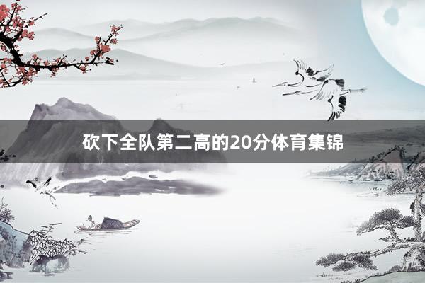 砍下全队第二高的20分体育集锦