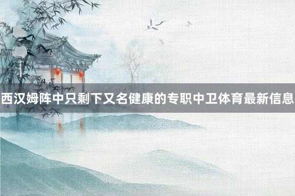 西汉姆阵中只剩下又名健康的专职中卫体育最新信息