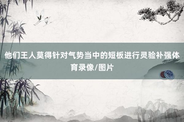 他们王人莫得针对气势当中的短板进行灵验补强体育录像/图片
