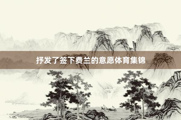 抒发了签下费兰的意愿体育集锦