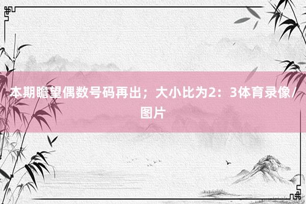 本期瞻望偶数号码再出；大小比为2：3体育录像/图片