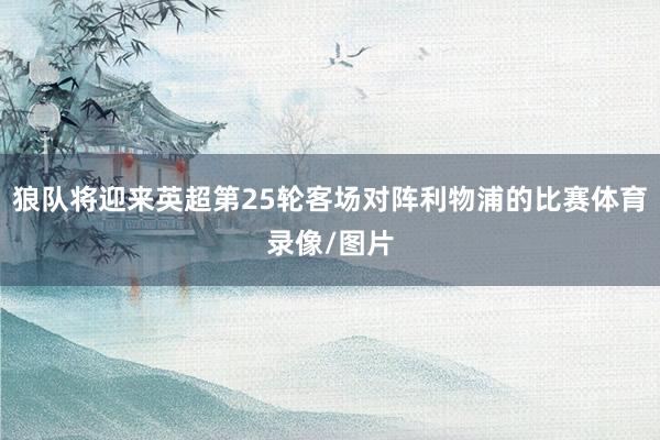 狼队将迎来英超第25轮客场对阵利物浦的比赛体育录像/图片