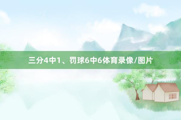 三分4中1、罚球6中6体育录像/图片