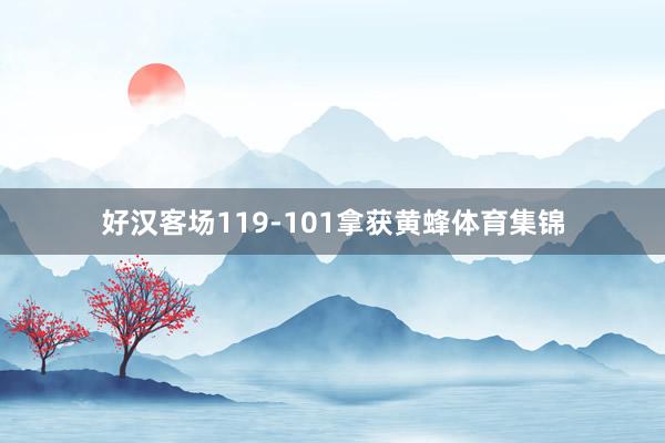 好汉客场119-101拿获黄蜂体育集锦