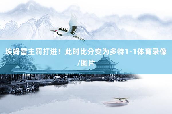 埃姆雷主罚打进！此时比分变为多特1-1体育录像/图片