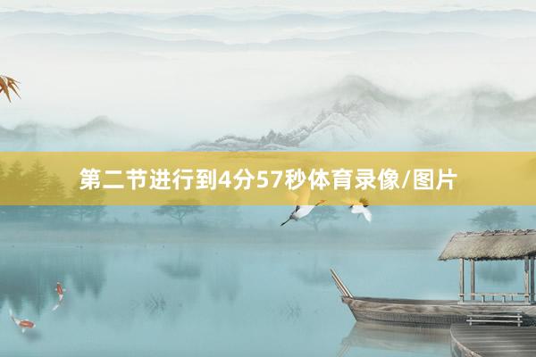 第二节进行到4分57秒体育录像/图片