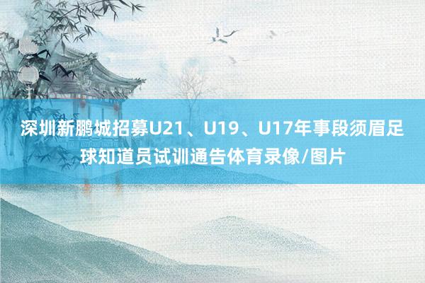 深圳新鹏城招募U21、U19、U17年事段须眉足球知道员试训通告体育录像/图片
