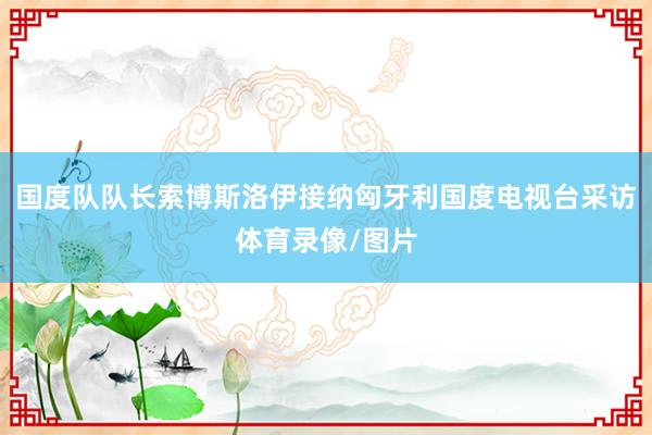 国度队队长索博斯洛伊接纳匈牙利国度电视台采访体育录像/图片
