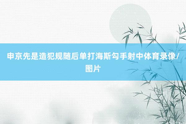 申京先是造犯规随后单打海斯勾手射中体育录像/图片