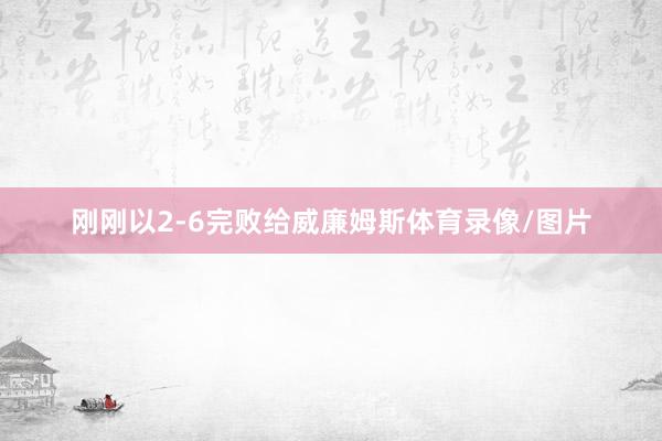 刚刚以2-6完败给威廉姆斯体育录像/图片