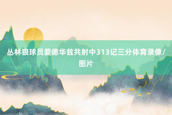 丛林狼球员爱德华兹共射中313记三分体育录像/图片
