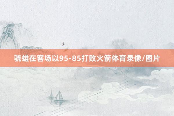 骁雄在客场以95-85打败火箭体育录像/图片