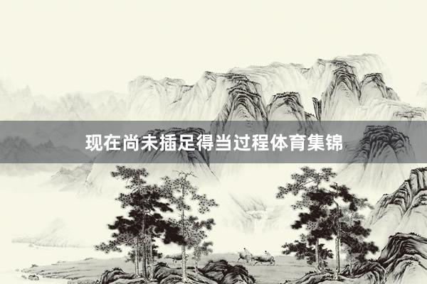现在尚未插足得当过程体育集锦