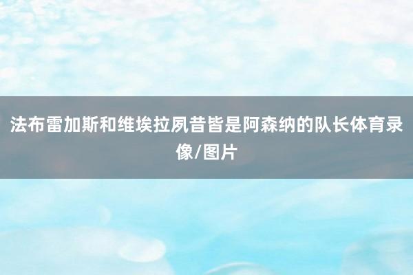 法布雷加斯和维埃拉夙昔皆是阿森纳的队长体育录像/图片