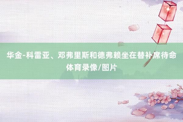 华金-科雷亚、邓弗里斯和德弗赖坐在替补席待命体育录像/图片