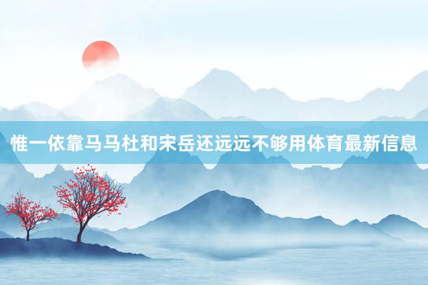 惟一依靠马马杜和宋岳还远远不够用体育最新信息
