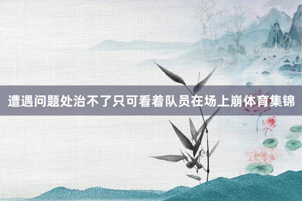 遭遇问题处治不了只可看着队员在场上崩体育集锦