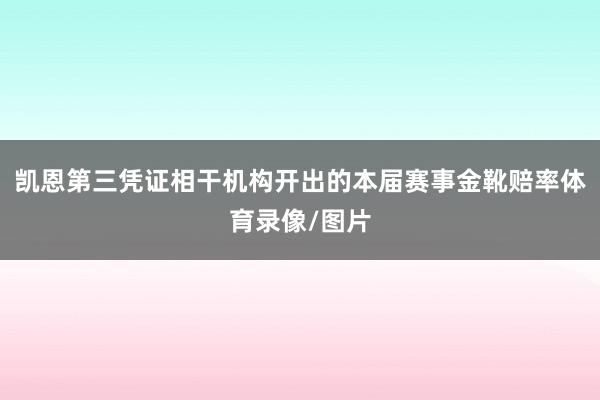 凯恩第三凭证相干机构开出的本届赛事金靴赔率体育录像/图片