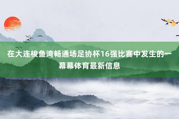 在大连梭鱼湾畅通场足协杯16强比赛中发生的一幕幕体育最新信息
