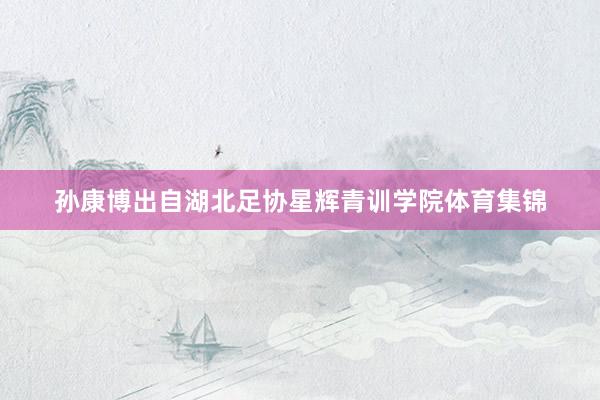 孙康博出自湖北足协星辉青训学院体育集锦