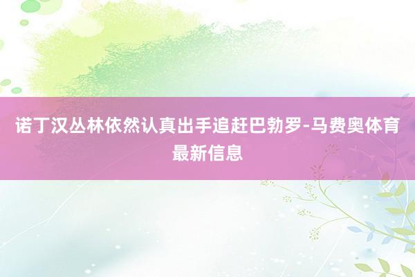 诺丁汉丛林依然认真出手追赶巴勃罗-马费奥体育最新信息