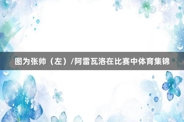 图为张帅（左）/阿雷瓦洛在比赛中体育集锦