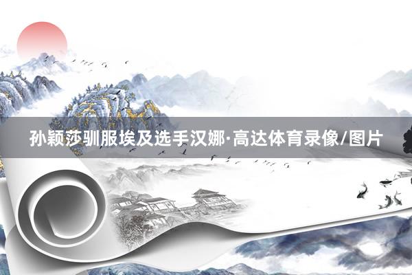 孙颖莎驯服埃及选手汉娜·高达体育录像/图片