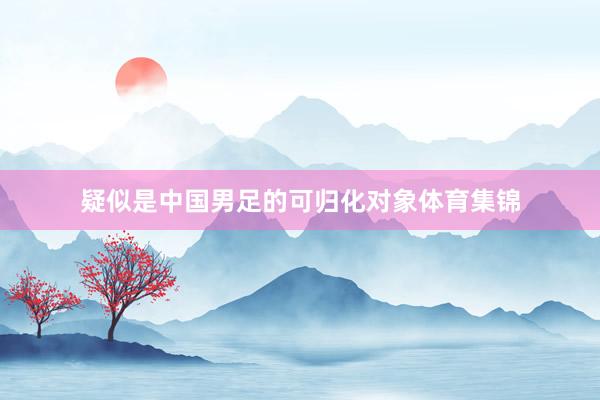 疑似是中国男足的可归化对象体育集锦