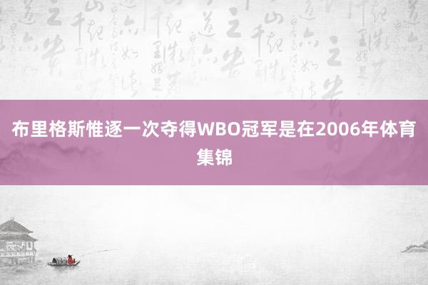 布里格斯惟逐一次夺得WBO冠军是在2006年体育集锦