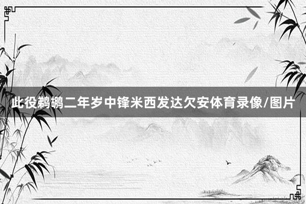 此役鹈鹕二年岁中锋米西发达欠安体育录像/图片