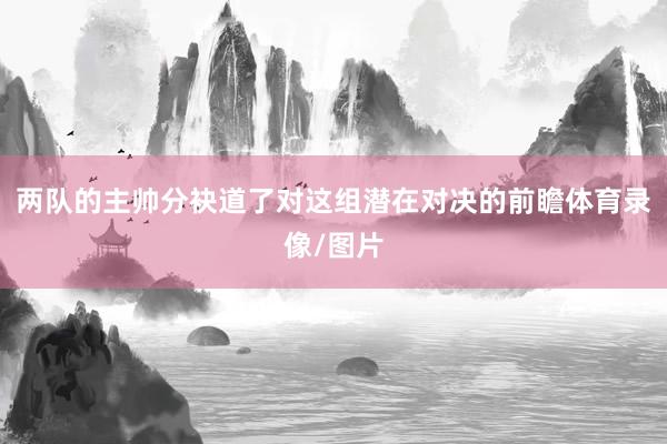 两队的主帅分袂道了对这组潜在对决的前瞻体育录像/图片