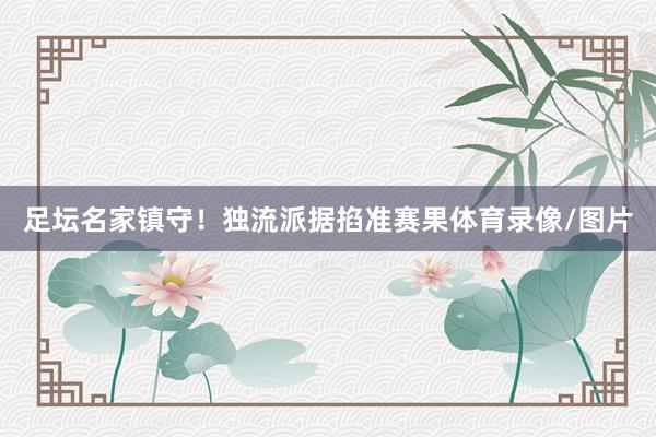 足坛名家镇守！独流派据掐准赛果体育录像/图片