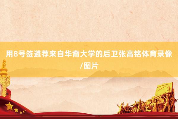 用8号签遴荐来自华裔大学的后卫张高铭体育录像/图片