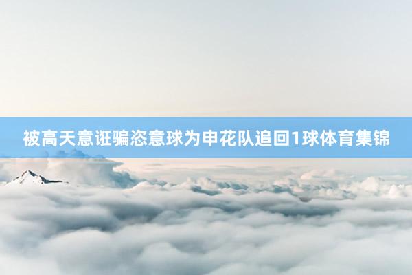 被高天意诳骗恣意球为申花队追回1球体育集锦