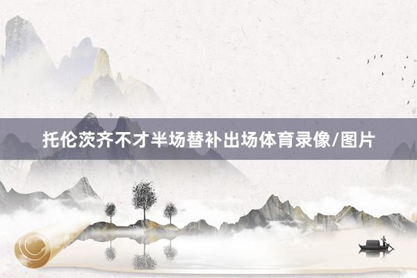 托伦茨齐不才半场替补出场体育录像/图片