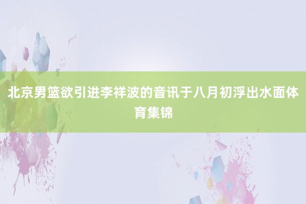 北京男篮欲引进李祥波的音讯于八月初浮出水面体育集锦