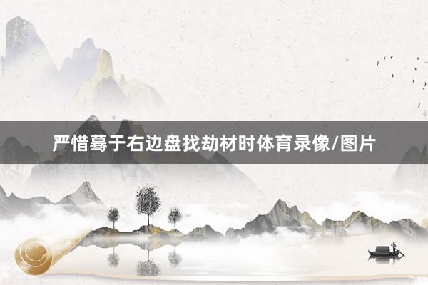 严惜蓦于右边盘找劫材时体育录像/图片