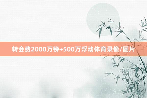转会费2000万镑+500万浮动体育录像/图片