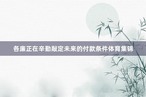 各廉正在辛勤敲定未来的付款条件体育集锦