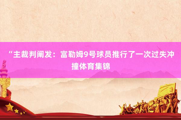 “主裁判阐发：富勒姆9号球员推行了一次过失冲撞体育集锦