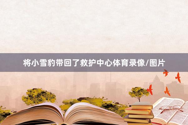 将小雪豹带回了救护中心体育录像/图片