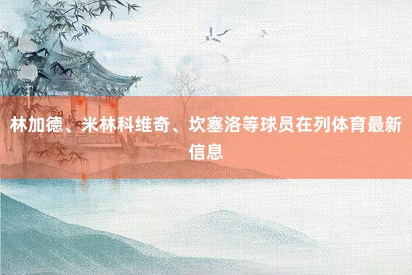林加德、米林科维奇、坎塞洛等球员在列体育最新信息