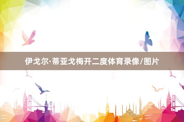 伊戈尔·蒂亚戈梅开二度体育录像/图片