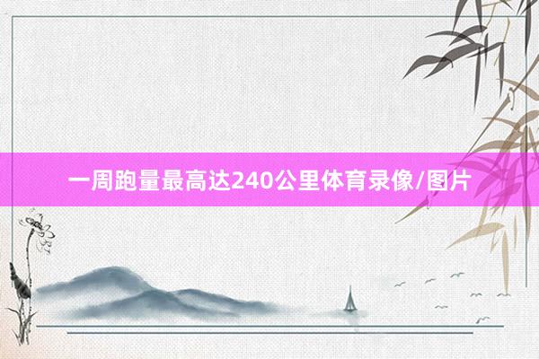 一周跑量最高达240公里体育录像/图片