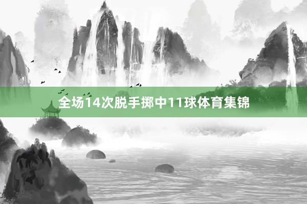 全场14次脱手掷中11球体育集锦