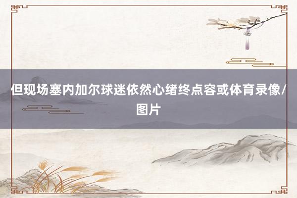 但现场塞内加尔球迷依然心绪终点容或体育录像/图片