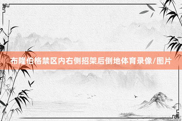 布隆伯格禁区内右侧招架后倒地体育录像/图片